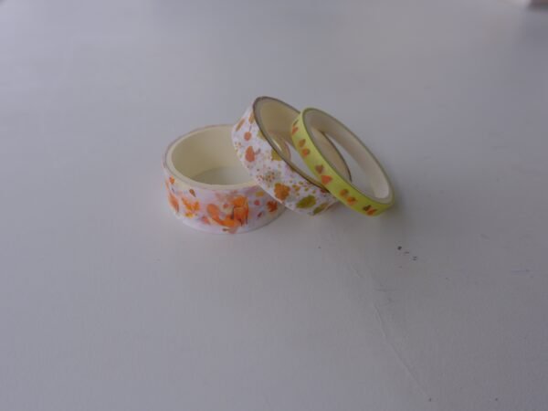 ok_DSF2344-min Washi Tapes - Thème Automne