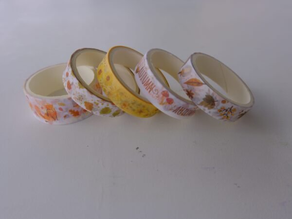 ok_DSF2348-min Washi Tapes - Thème Automne