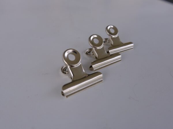 Pinces Éclat Métallique